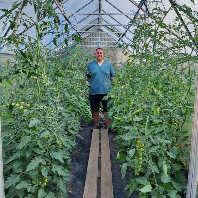 Felix Im Tomatengewachshaus
